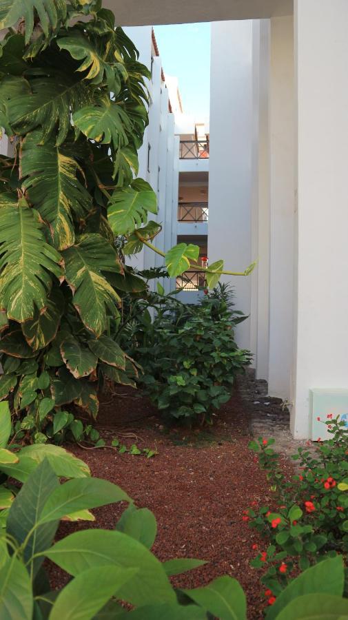 ארונה Apartamento En Tenerife Sur, Parque Santiago 2 מראה חיצוני תמונה