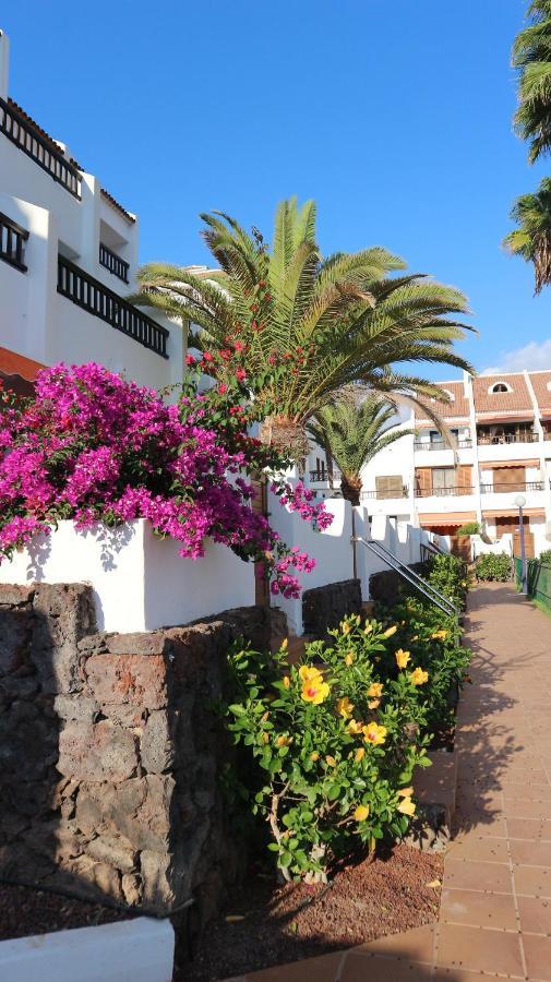 ארונה Apartamento En Tenerife Sur, Parque Santiago 2 מראה חיצוני תמונה