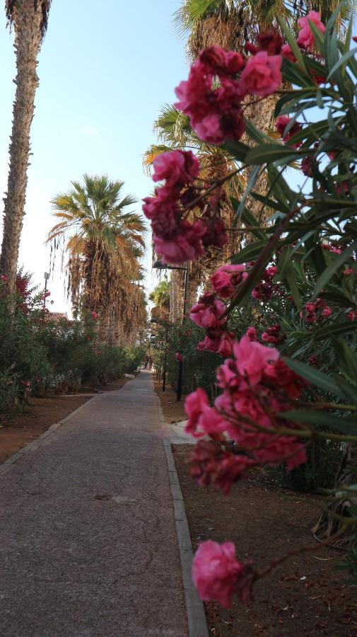 ארונה Apartamento En Tenerife Sur, Parque Santiago 2 מראה חיצוני תמונה